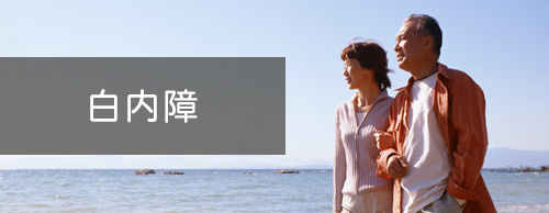 白内障